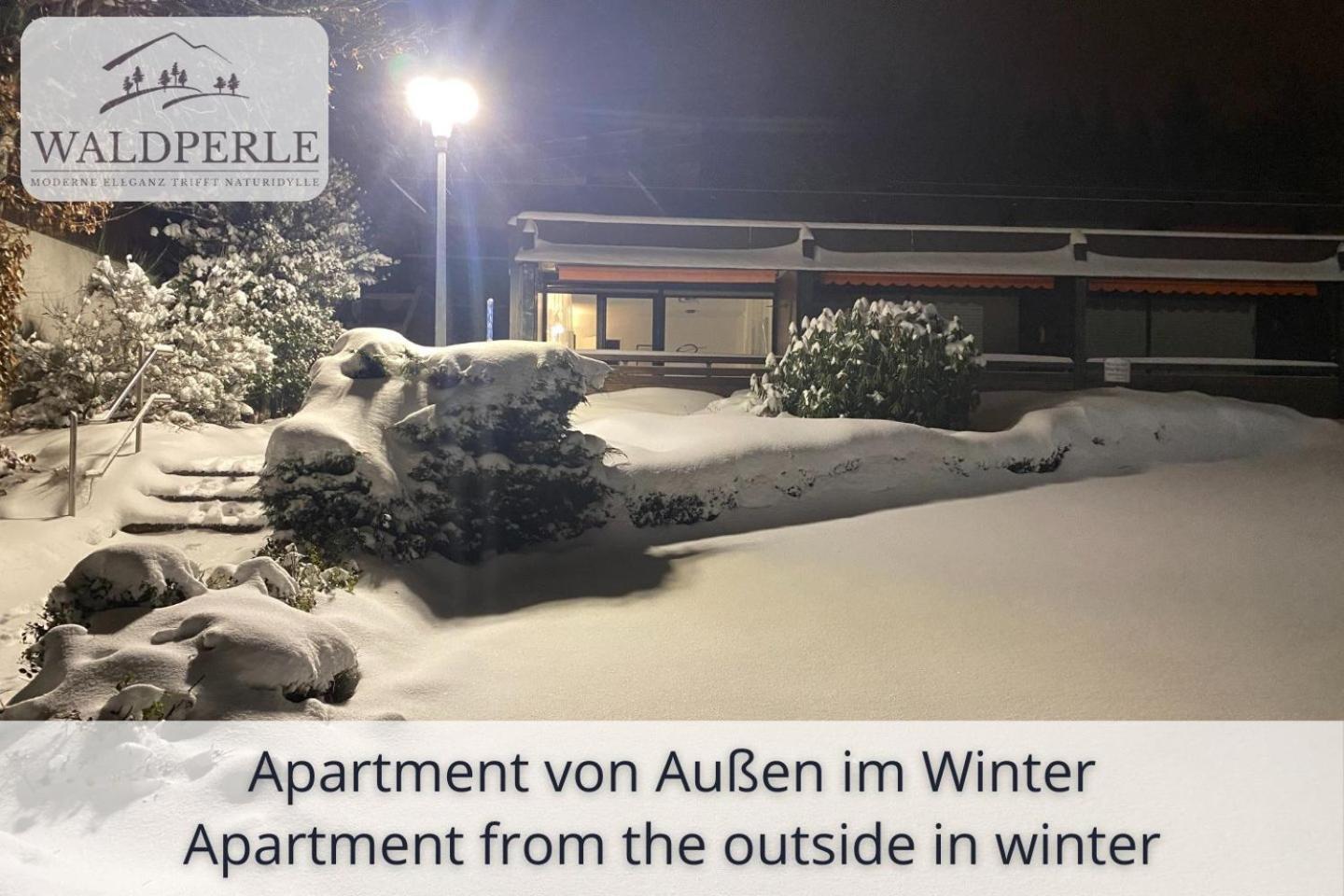 Exklusives 5-Sterne Apartment Waldperle Mit Indoor-Pool, Sauna, Top Lage Und Ausblick In Die Natur, Hunde Willkommen Schonach im Schwarzwald Eksteriør billede