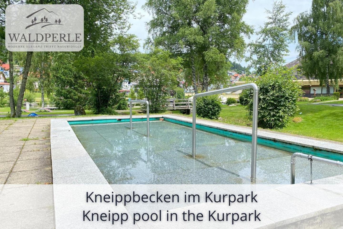 Exklusives 5-Sterne Apartment Waldperle Mit Indoor-Pool, Sauna, Top Lage Und Ausblick In Die Natur, Hunde Willkommen Schonach im Schwarzwald Eksteriør billede