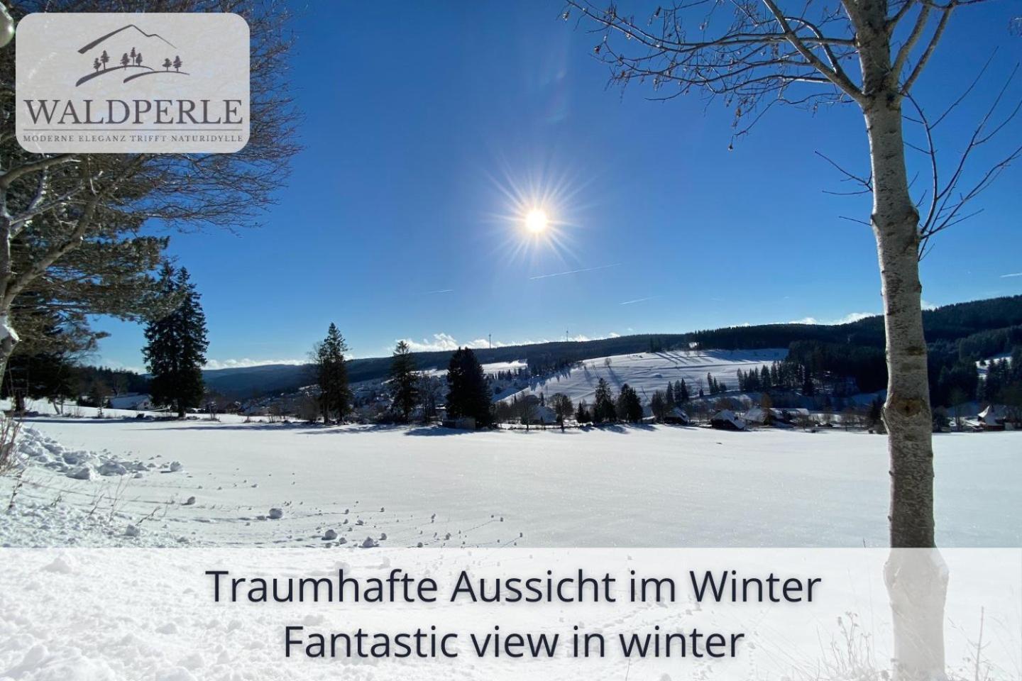 Exklusives 5-Sterne Apartment Waldperle Mit Indoor-Pool, Sauna, Top Lage Und Ausblick In Die Natur, Hunde Willkommen Schonach im Schwarzwald Eksteriør billede