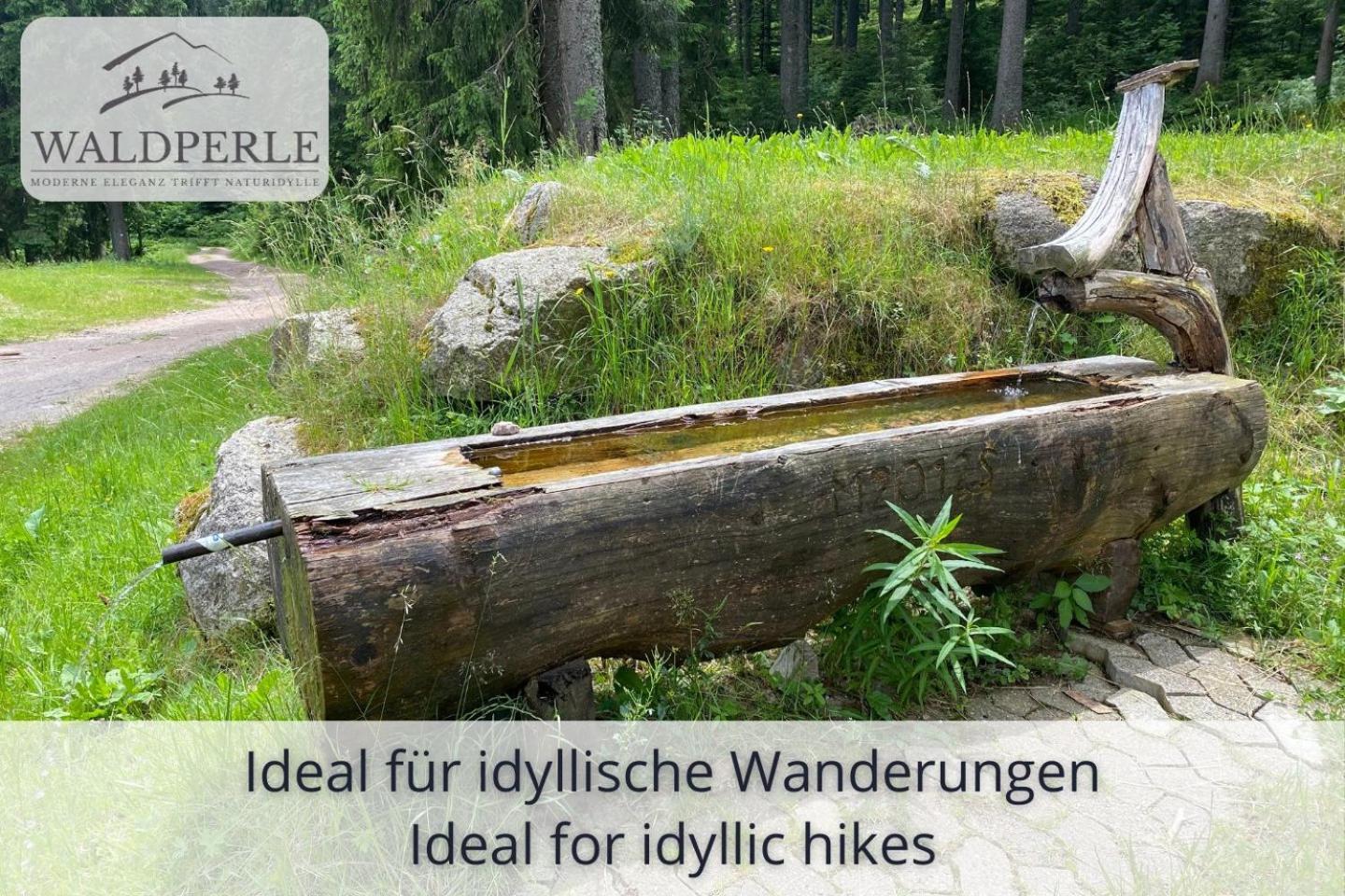 Exklusives 5-Sterne Apartment Waldperle Mit Indoor-Pool, Sauna, Top Lage Und Ausblick In Die Natur, Hunde Willkommen Schonach im Schwarzwald Eksteriør billede
