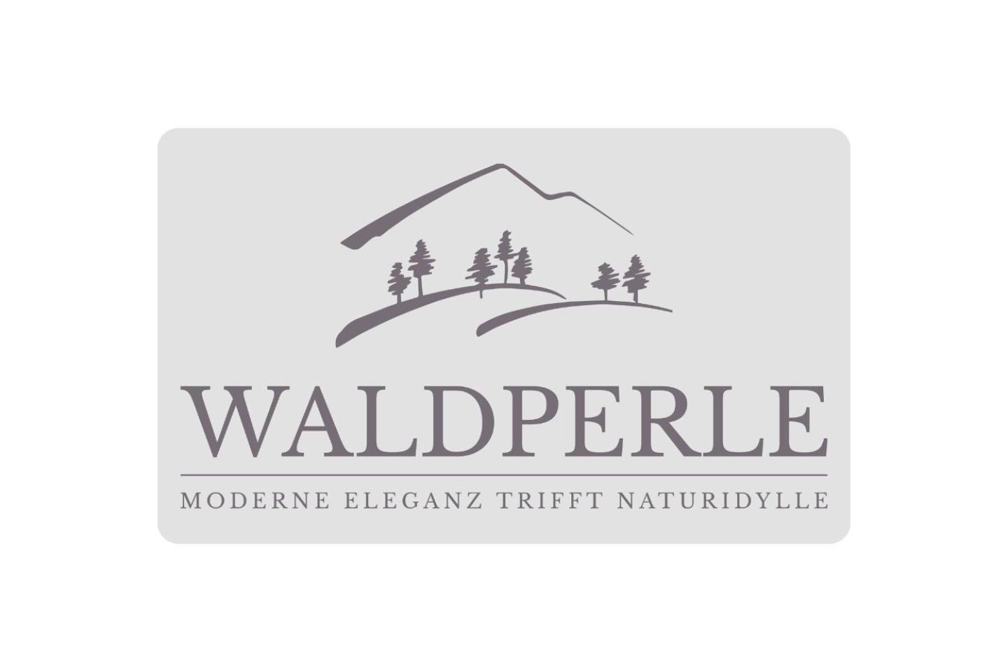 Exklusives 5-Sterne Apartment Waldperle Mit Indoor-Pool, Sauna, Top Lage Und Ausblick In Die Natur, Hunde Willkommen Schonach im Schwarzwald Eksteriør billede