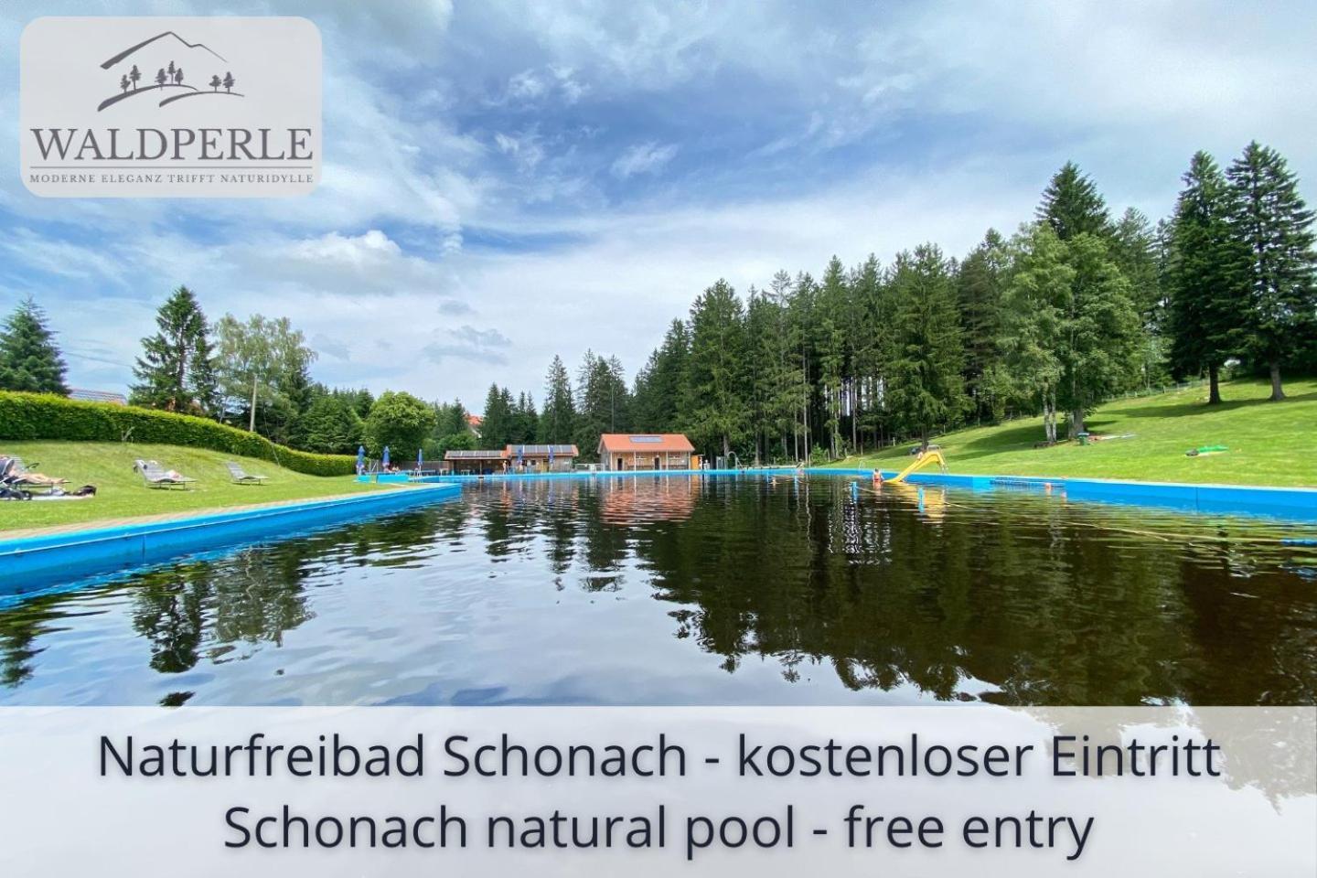 Exklusives 5-Sterne Apartment Waldperle Mit Indoor-Pool, Sauna, Top Lage Und Ausblick In Die Natur, Hunde Willkommen Schonach im Schwarzwald Eksteriør billede