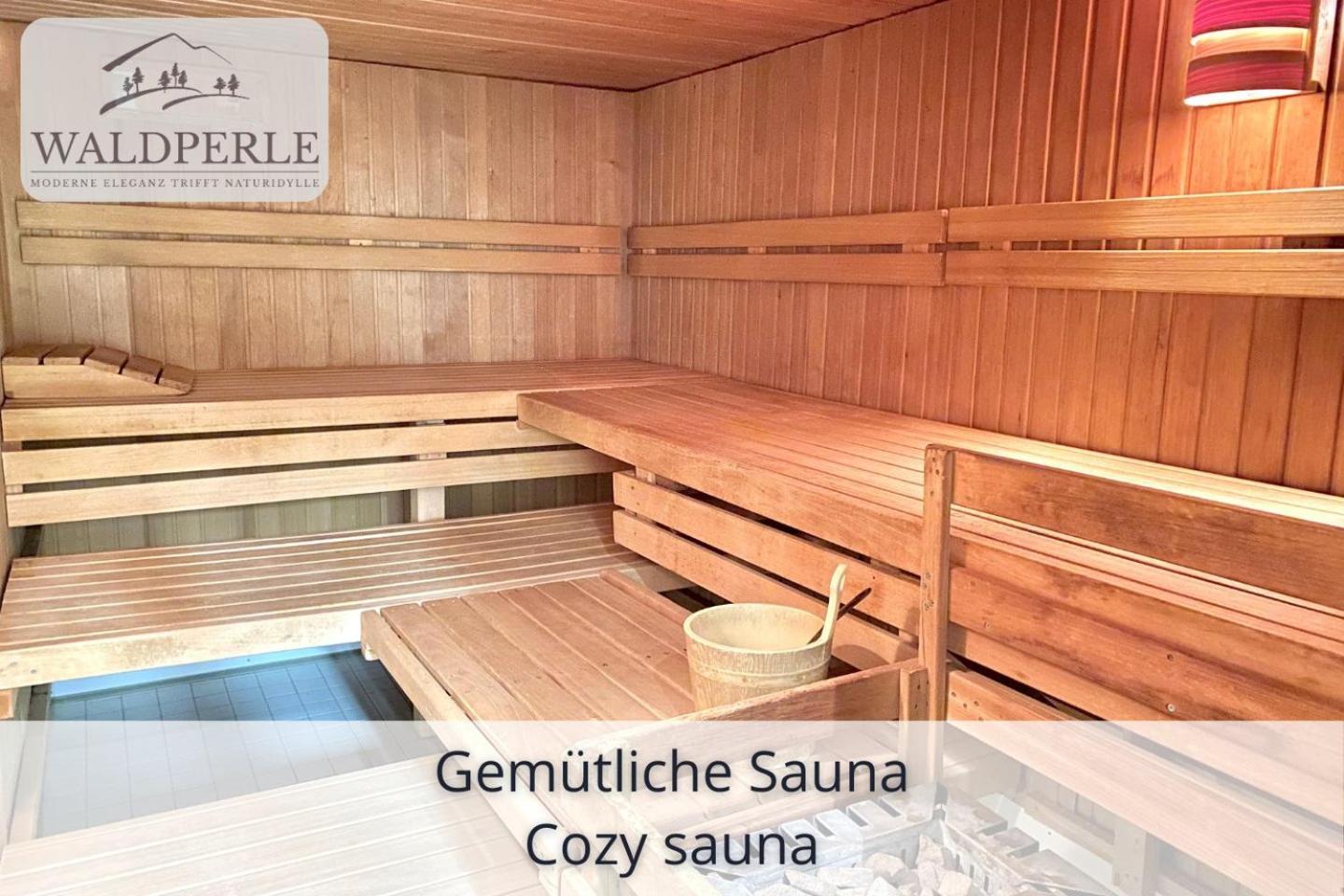 Exklusives 5-Sterne Apartment Waldperle Mit Indoor-Pool, Sauna, Top Lage Und Ausblick In Die Natur, Hunde Willkommen Schonach im Schwarzwald Eksteriør billede