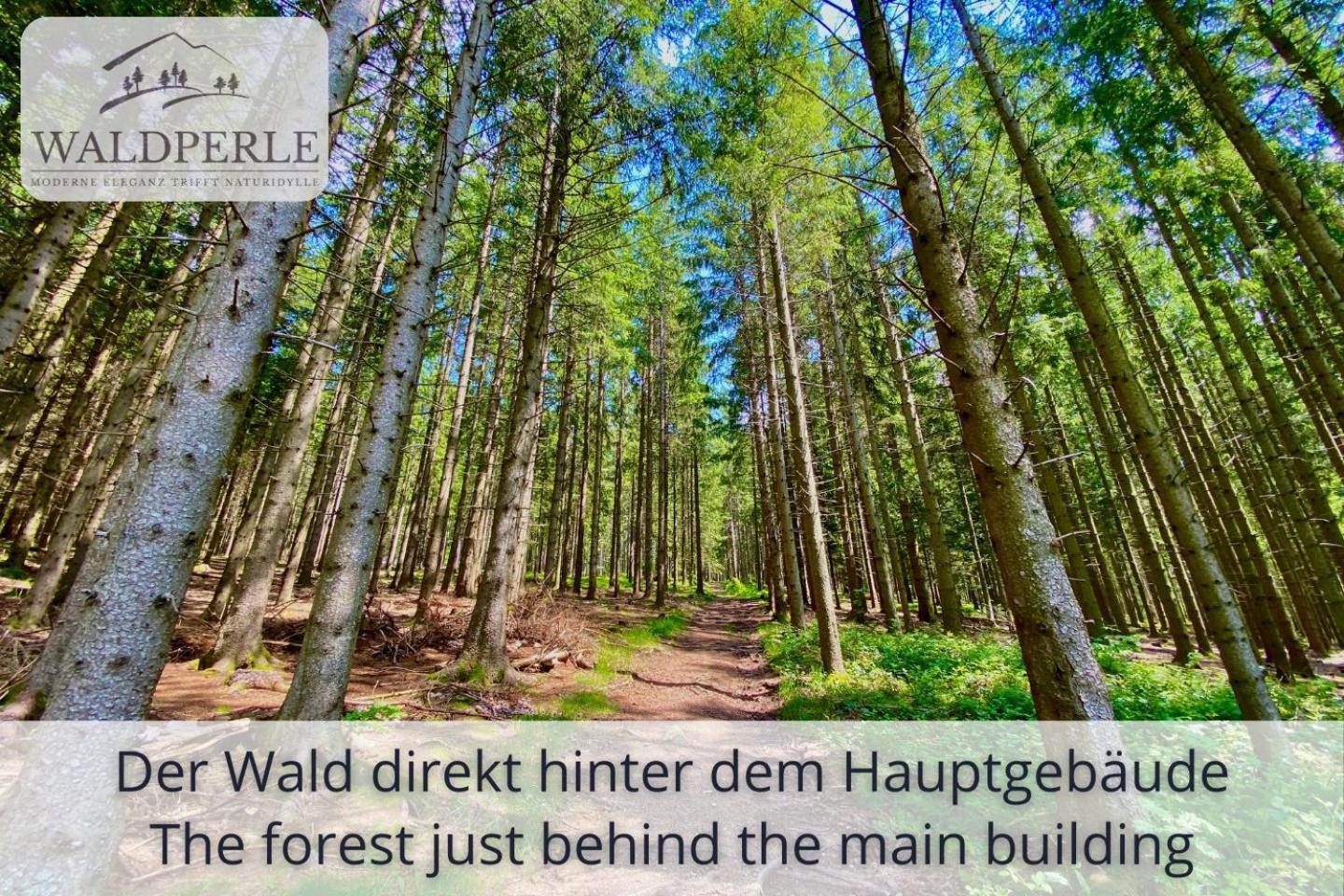 Exklusives 5-Sterne Apartment Waldperle Mit Indoor-Pool, Sauna, Top Lage Und Ausblick In Die Natur, Hunde Willkommen Schonach im Schwarzwald Eksteriør billede