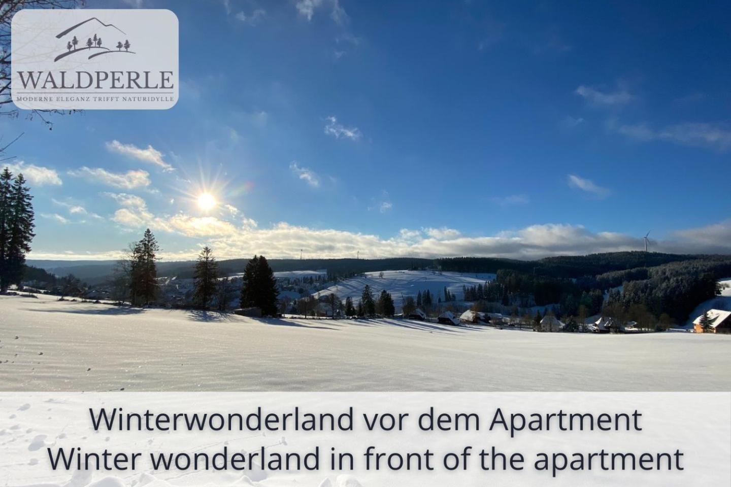 Exklusives 5-Sterne Apartment Waldperle Mit Indoor-Pool, Sauna, Top Lage Und Ausblick In Die Natur, Hunde Willkommen Schonach im Schwarzwald Eksteriør billede
