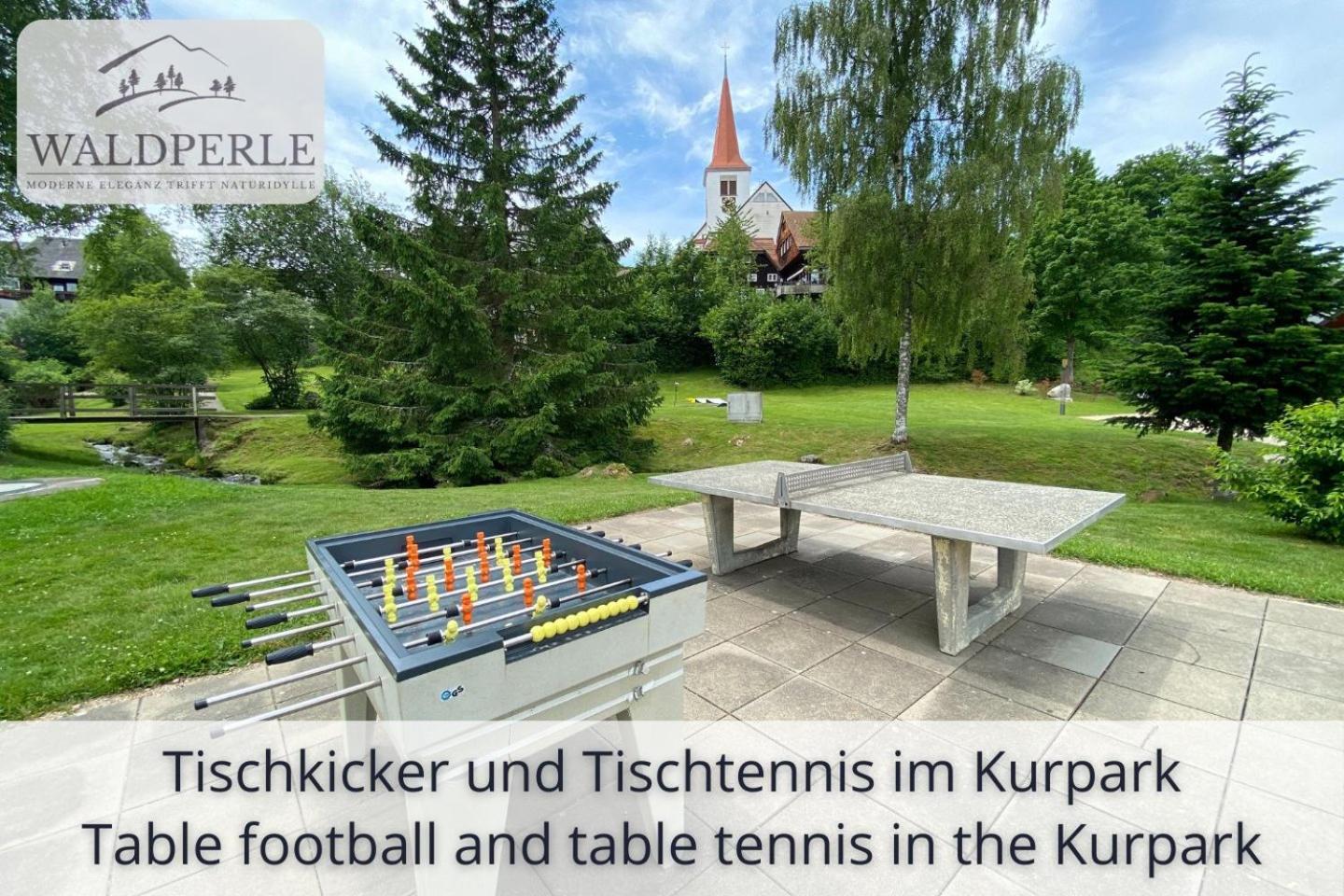 Exklusives 5-Sterne Apartment Waldperle Mit Indoor-Pool, Sauna, Top Lage Und Ausblick In Die Natur, Hunde Willkommen Schonach im Schwarzwald Eksteriør billede