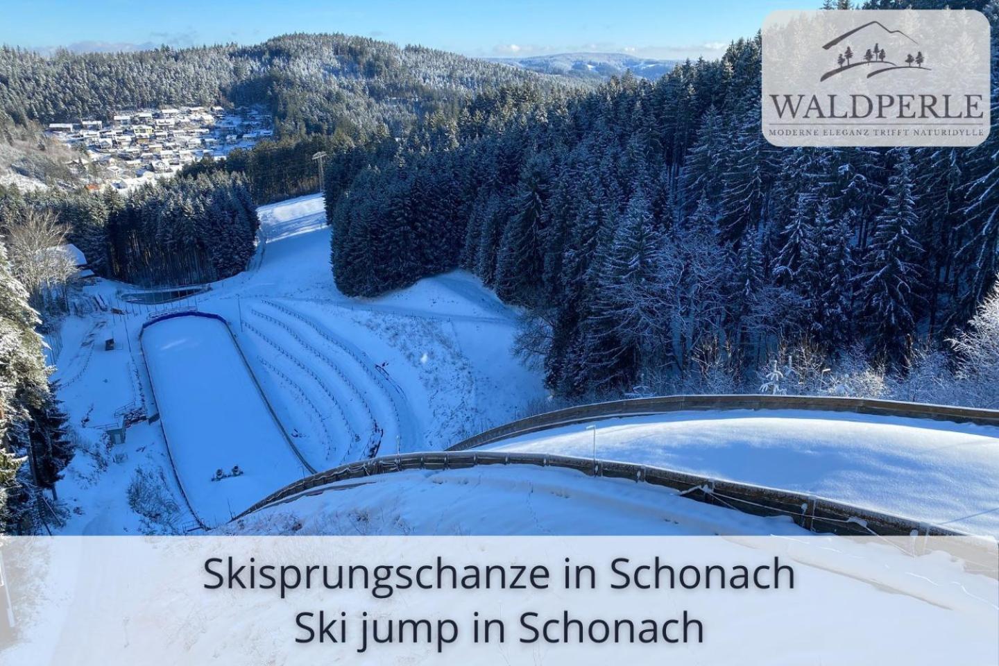 Exklusives 5-Sterne Apartment Waldperle Mit Indoor-Pool, Sauna, Top Lage Und Ausblick In Die Natur, Hunde Willkommen Schonach im Schwarzwald Eksteriør billede