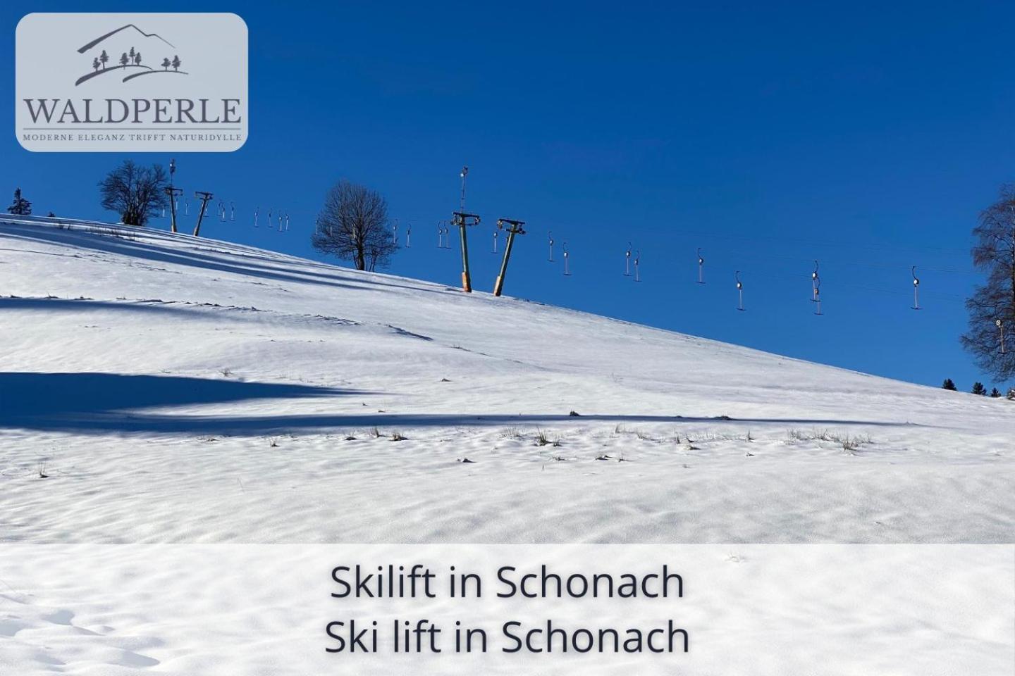 Exklusives 5-Sterne Apartment Waldperle Mit Indoor-Pool, Sauna, Top Lage Und Ausblick In Die Natur, Hunde Willkommen Schonach im Schwarzwald Eksteriør billede