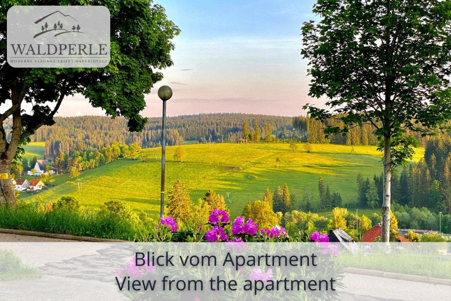 Exklusives 5-Sterne Apartment Waldperle Mit Indoor-Pool, Sauna, Top Lage Und Ausblick In Die Natur, Hunde Willkommen Schonach im Schwarzwald Eksteriør billede
