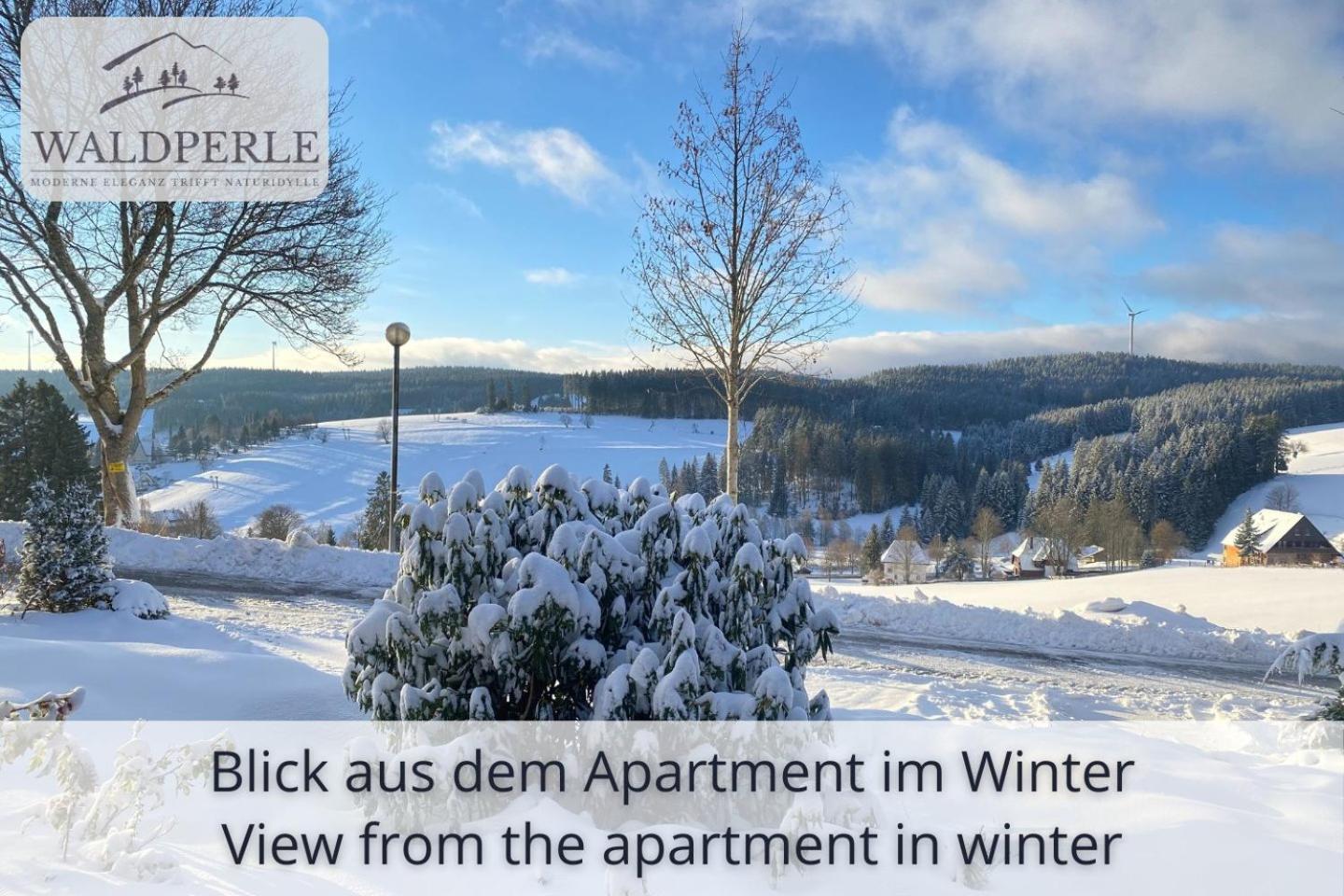 Exklusives 5-Sterne Apartment Waldperle Mit Indoor-Pool, Sauna, Top Lage Und Ausblick In Die Natur, Hunde Willkommen Schonach im Schwarzwald Eksteriør billede
