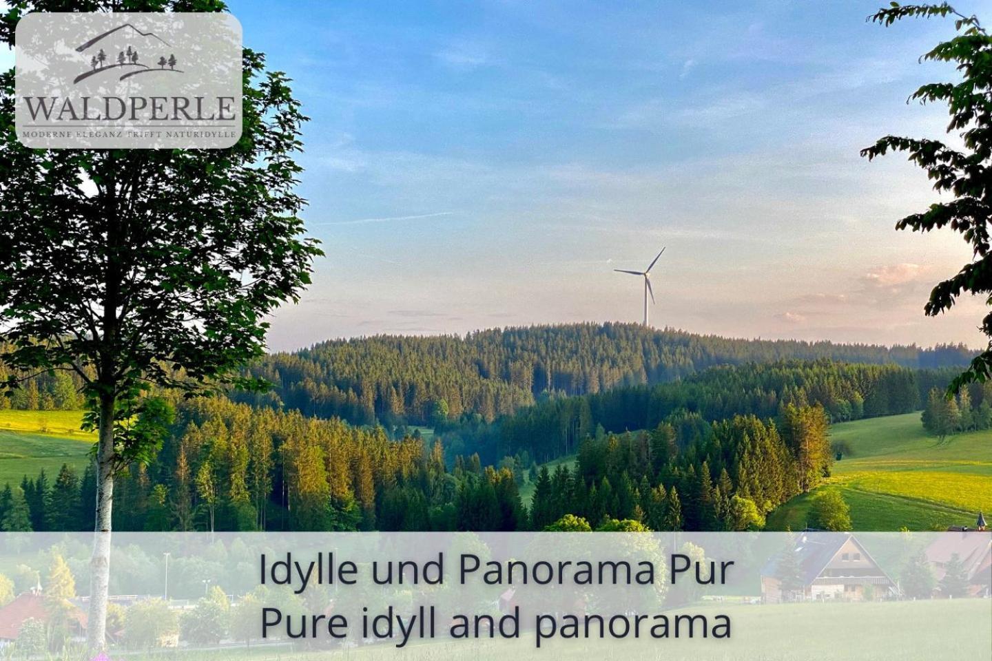 Exklusives 5-Sterne Apartment Waldperle Mit Indoor-Pool, Sauna, Top Lage Und Ausblick In Die Natur, Hunde Willkommen Schonach im Schwarzwald Eksteriør billede