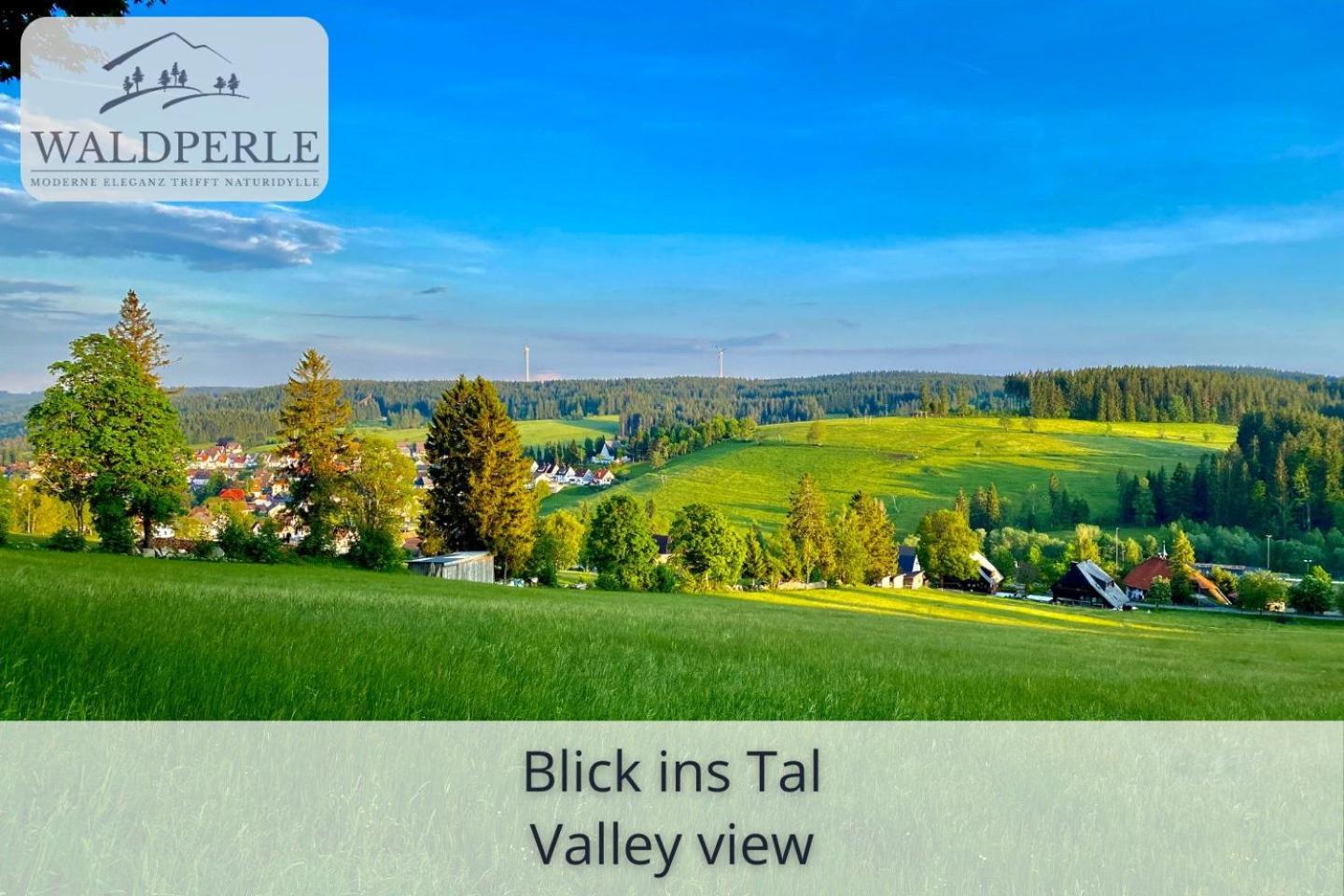 Exklusives 5-Sterne Apartment Waldperle Mit Indoor-Pool, Sauna, Top Lage Und Ausblick In Die Natur, Hunde Willkommen Schonach im Schwarzwald Eksteriør billede